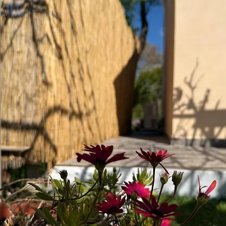 Vasiliki Little House