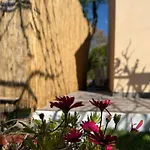 Vasiliki Little House